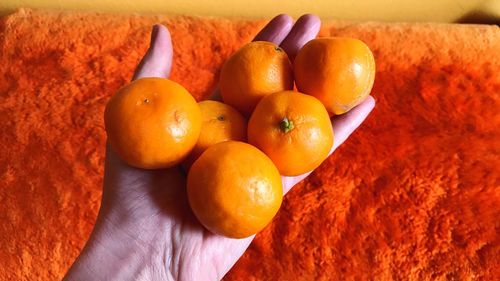 Close-up of orange fruits on table