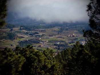 High angle view of trees on field against sky looking from teide