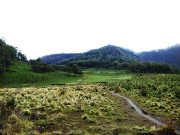 Scenic view of landscape against clear sky