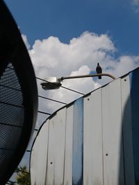 Low angle view of bird against sky