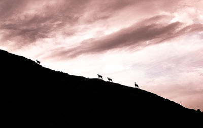 Low angle view of silhouette people on rock against sky