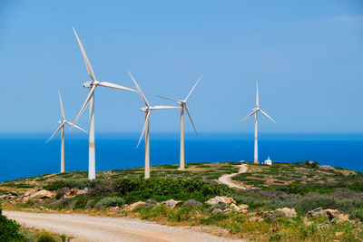 environmental conservation