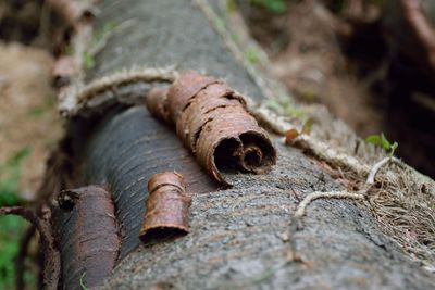 Close-up of rusty metal