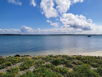 Scenic view of sea against sky