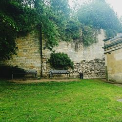 Trees in front of building