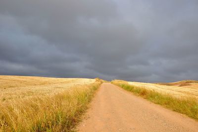 Scenic view of wheat field against storm clouds
