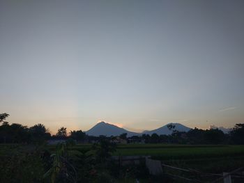 Scenic view of field against sky during sunset