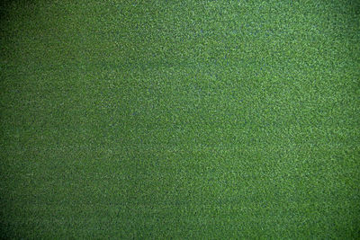 Full frame shot of green grass