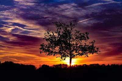 Silhouette tree on field against dramatic sky