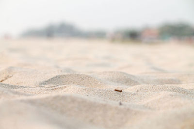 Close-up of sand on beach against sky