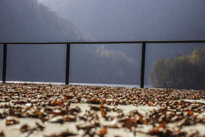 Surface level of stones on glass window