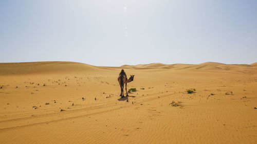 Full frame shot of sand dunes in desert