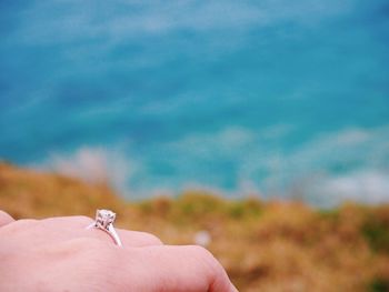 Close-up of a hand holding lizard against blurred background