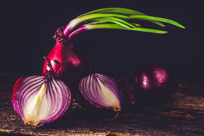 Close-up of food against black background