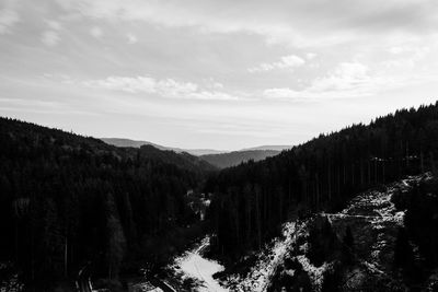 Trees on landscape against sky