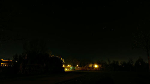 Illuminated trees against sky at night