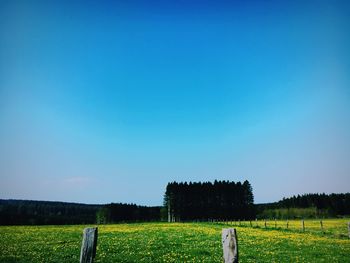 Scenic view of field against clear sky