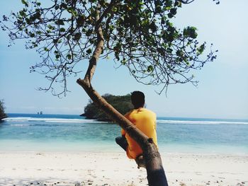 Rear view of man sitting on tree at beach against sky