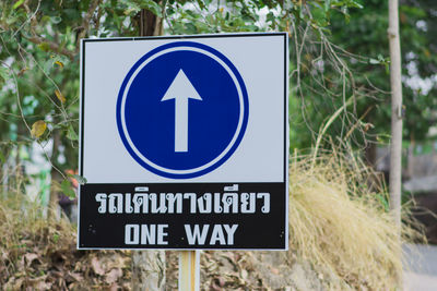Close-up of road sign against plants