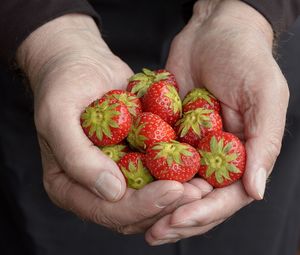 Midsection of person holding strawberries