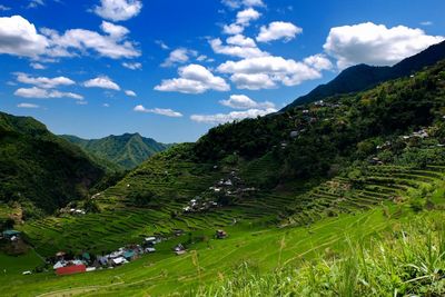 Scenic view of landscape against cloudy sky