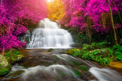 Scenic view of waterfall in forest