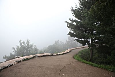 Road by trees against sky during winter