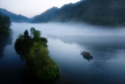 View of ducks swimming in lake during foggy weather