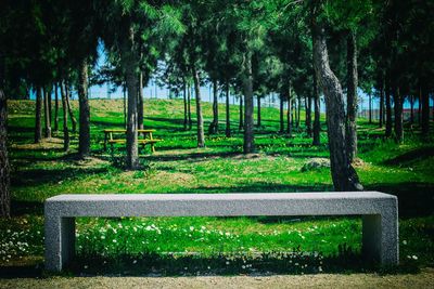 Trees in park