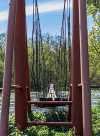 Trees growing in park against sky