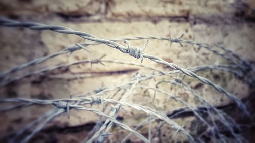 Close-up of barbed wire on fence