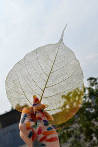 Close-up of autumn leaves on plant against sky