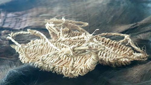 Close-up of dried plant on table