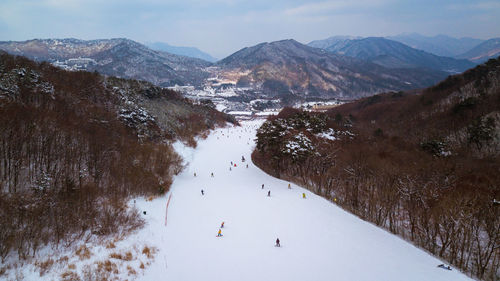 High angle view of people snowboarding amidst bare trees against mountains