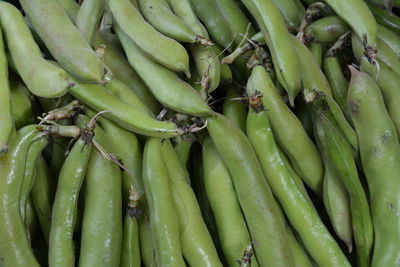 Full frame shot of green beans