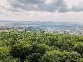 High angle view of plants growing on land against sky