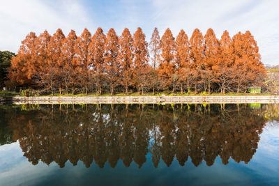 Reflection of trees in lake against sky