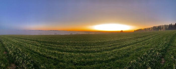 Scenic view of agricultural field against sky during sunset