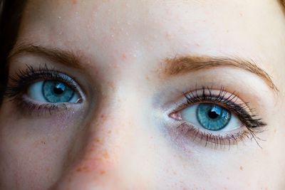 Close-up portrait of human eye