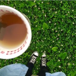 Close-up of coffee cup