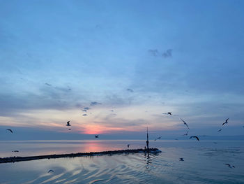 Birds flying over sea against sky