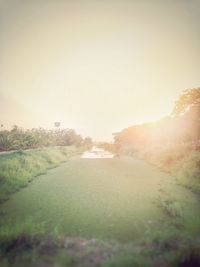 Scenic view of river