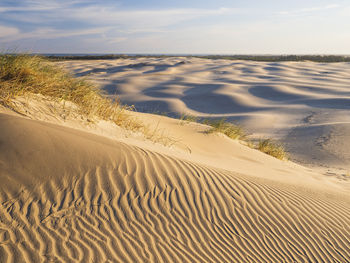 Rippled sand on sand dunes