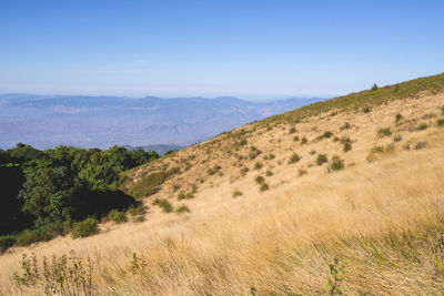 Scenic view of landscape against clear blue sky