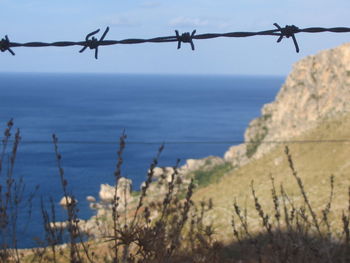 Barbed wire against sea