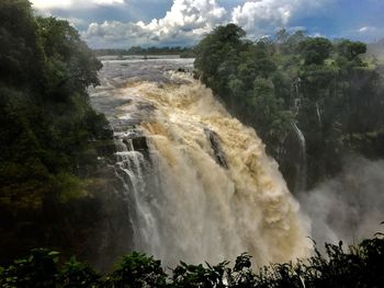 Scenic view of waterfall