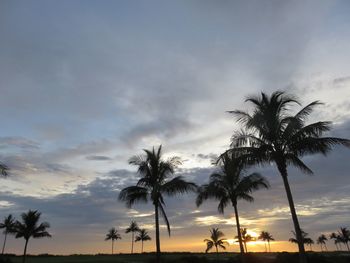 Silhouette palm trees against sky during sunset