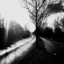 Road by trees against sky