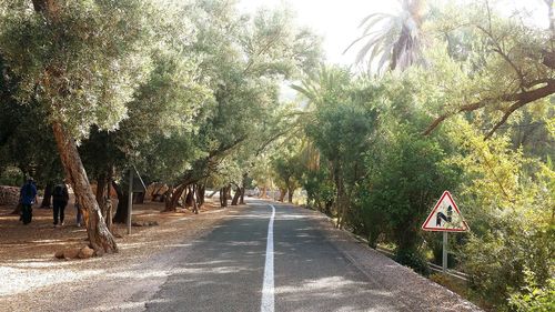 Road amidst trees against sky