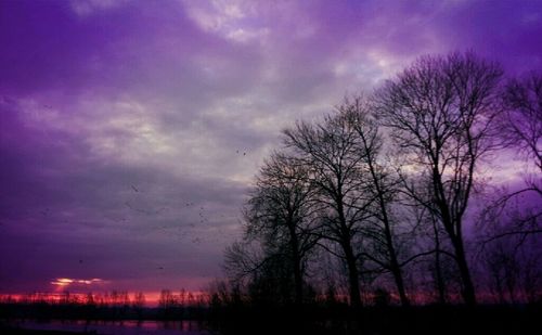 Silhouette of bare tree against cloudy sky